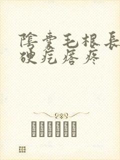 阴囊毛根长了个硬疙瘩疼