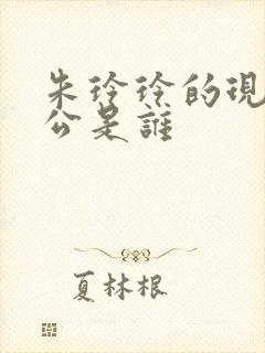 朱玲玲的现任老公是谁