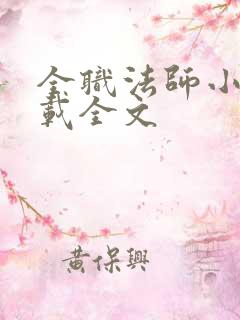 全职法师小说下载全文