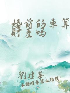 婚前的车算共同财产吗