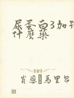 尿蛋白3加号吃什么药