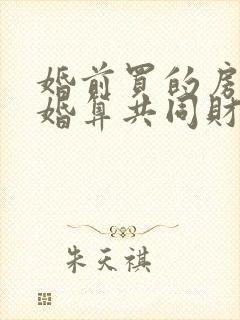 婚前买的房子二婚算共同财产吗