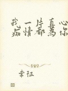 我一片真心一份痴情都为你,你却不懂的珍惜