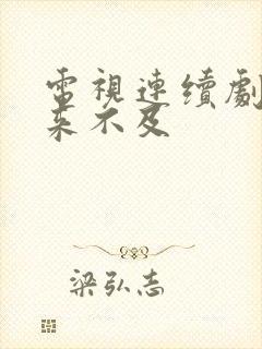 电视连续剧我怕来不及