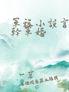 军旅小说言情高干军婚
