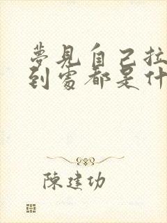 梦见自己拉大便到处都是什么意思