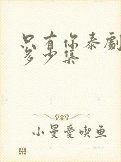 只有你泰剧一共多少集