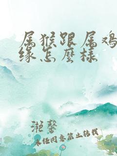 属猴跟属鸡的姻缘怎么样