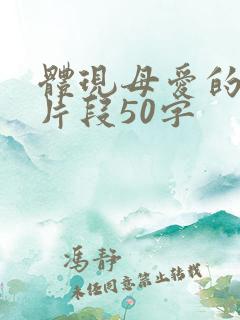 体现母爱的小事片段50字