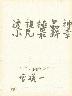 透视极品神医白小凡最新章节