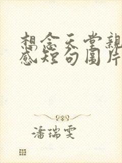 想念天堂亲弟伤感短句图片