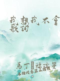我想我不会爱你歌词