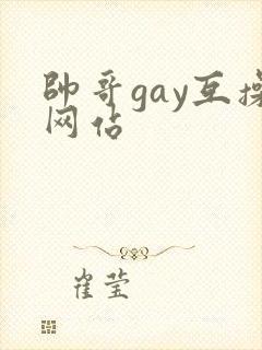 帅哥gay互操网站