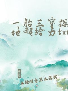 一胎三宝总裁爹地超给力txt