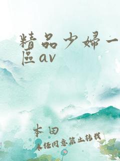 精品少妇一区二区av