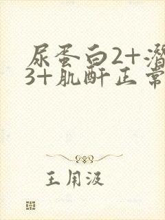 尿蛋白2+潜血3+肌酐正常