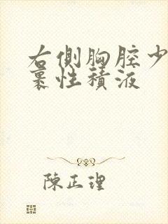 右侧胸腔少量包裹性积液