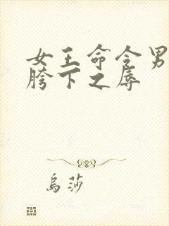 女王命令男奴钻胯下之辱