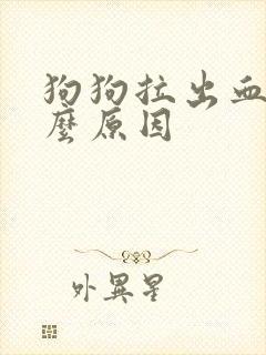 狗狗拉出血是什么原因