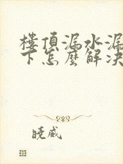 楼顶漏水漏到楼下怎么解决