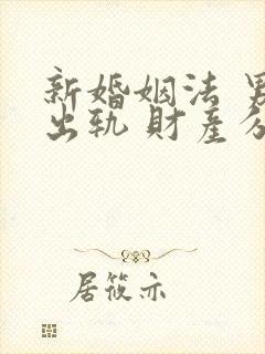 新婚姻法 男方出轨 财产分割