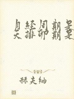 月经周期是40天排卵期是什么时候