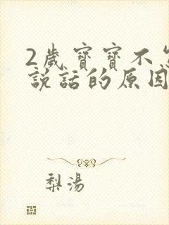 2岁宝宝不怎么说话的原因