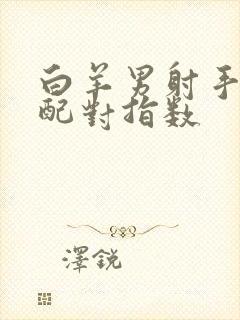 白羊男射手女座配对指数