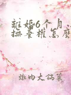 离婚6个月小孩抚养权怎么判定