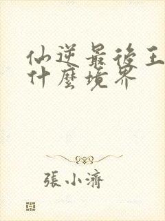 仙逆最后王林到什么境界