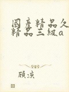 国产精品久久久精品三级a