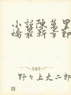 小说陈万里宋娇娇最新章节更新免费