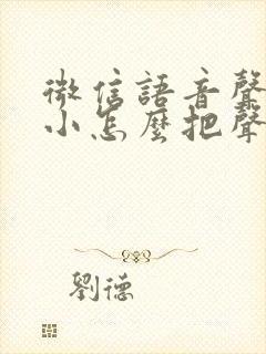 微信语音声音很小怎么把声音调大