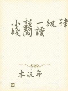 小说一级律师在线阅读