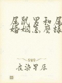 属鼠男和属龙女婚姻怎么样