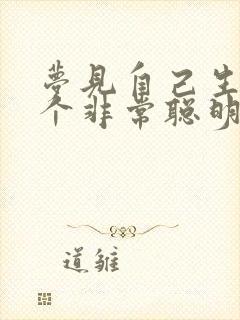 梦见自己生了一个非常聪明的男孩