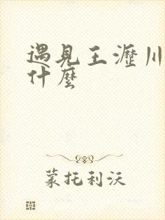 遇见王沥川讲的什么