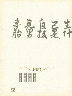 梦见自己生双胞胎男孩是什么意思