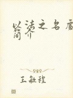 以法之名 剧情简介