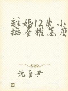 离婚12岁小孩抚养权怎么判定