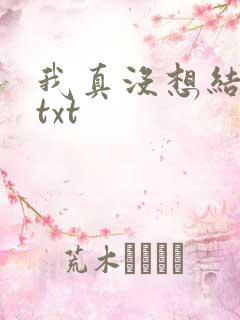 我真没想结婚啊txt