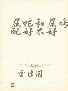 属蛇和属鸡的婚配好不好