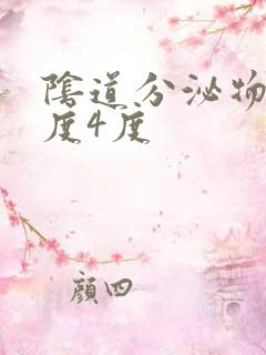 阴道分泌物清洁度4度