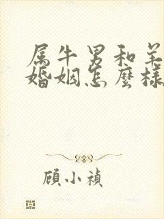 属牛男和羊女的婚姻怎么样