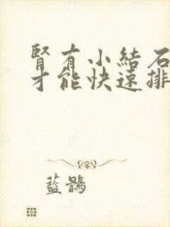 肾有小结石怎么才能快速排出来