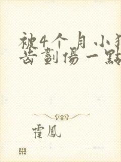 被4个月小狗牙齿划伤一点皮出血有事吗