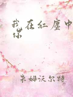 我在红尘中遇见你