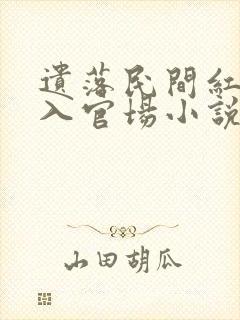 遗落民间红三代入官场小说