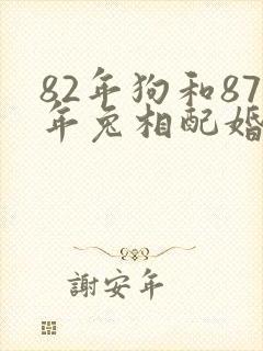 82年狗和87年兔相配婚姻如何