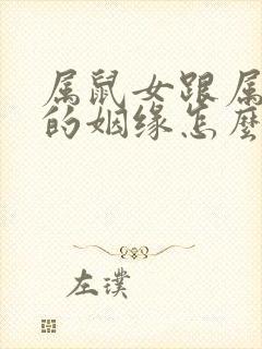 属鼠女跟属鸡男的姻缘怎么样